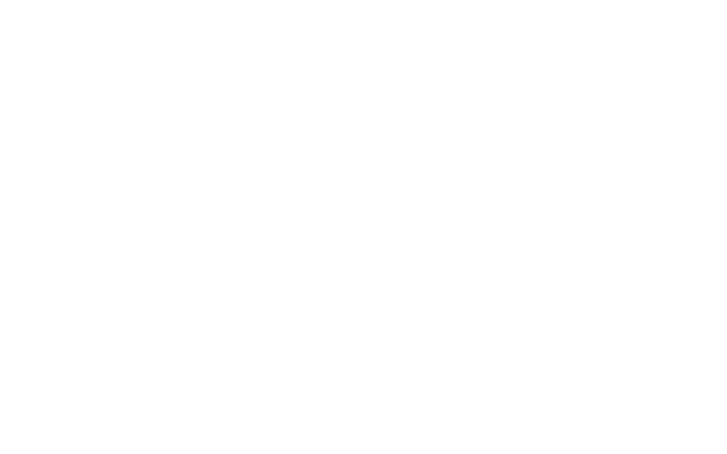 Vortexbound Systems logo